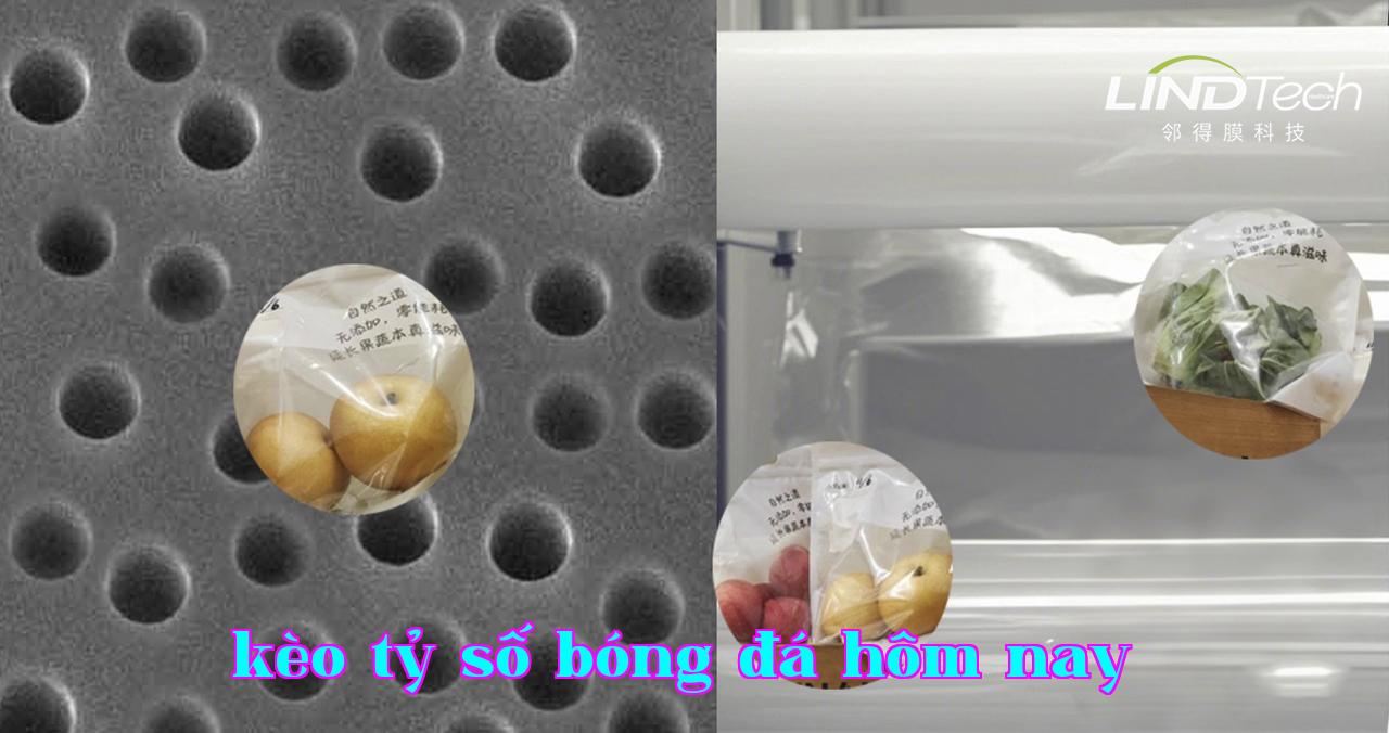 Khám phá ứng dụng của màng lỗ nhân trong bảo quản vật lý ở nhiệt độ thường và tự động khí điều chỉnh