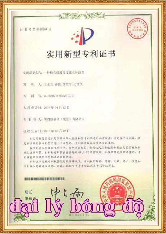 Chứng chỉ danh dự