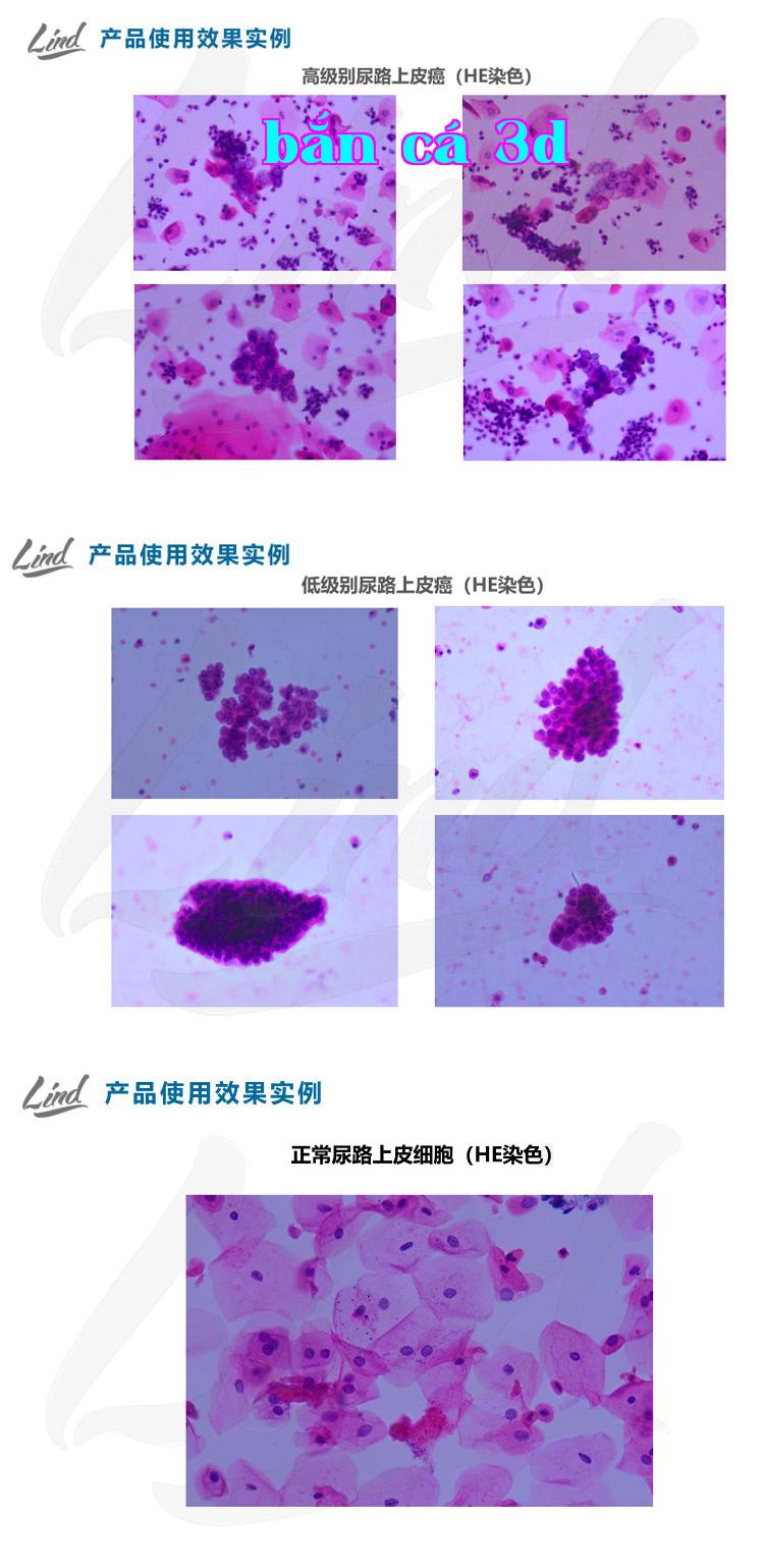 Chưa đặt tên-2.jpg