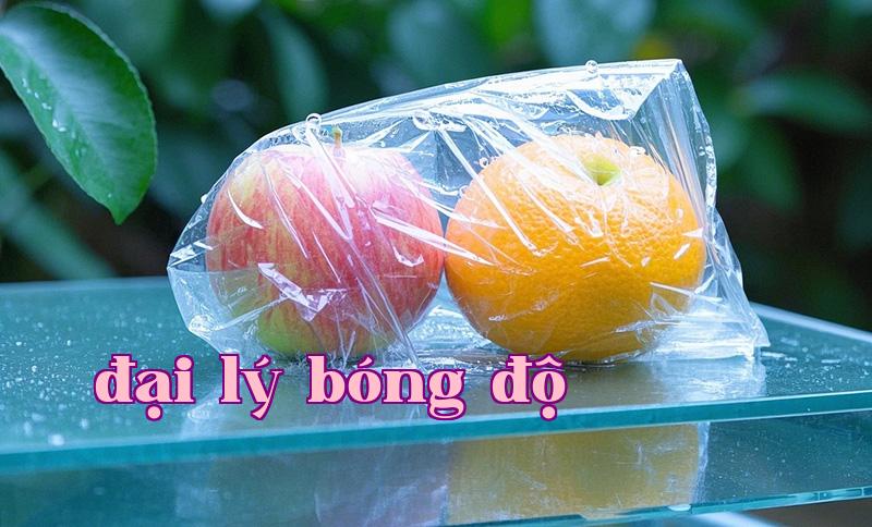 Chuỗi lạnh: Yếu tố then chốt trong bảo quản và thách thức về tiêu thụ năng lượng