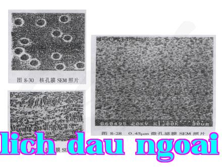 Giới thiệu về màng lõi hạt nhân