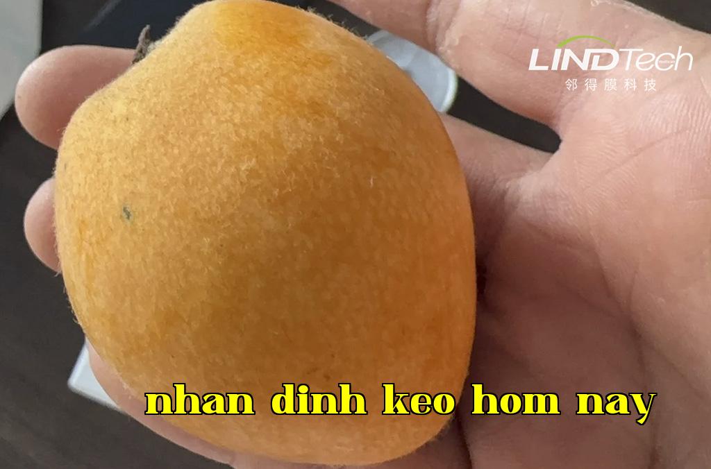 Màng nhân quả - Giải pháp bảo quản vật lý thường nhiệt tự động điều chỉnh không khí