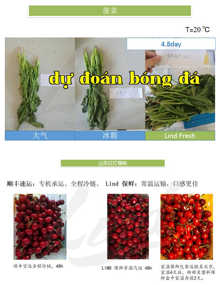 Chi tiết công nghệ đóng gói bảo quản rau quả tươi tự động của màng Lindem thay bằng_03.jpg
