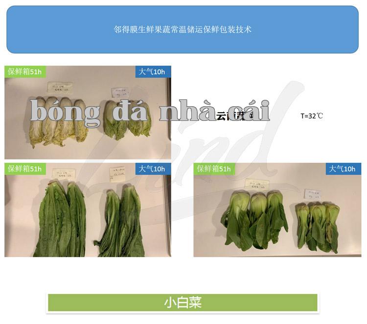 Chi tiết công nghệ đóng gói bảo quản rau quả tươi tự động của màng Lindem thay bằng_01.jpg