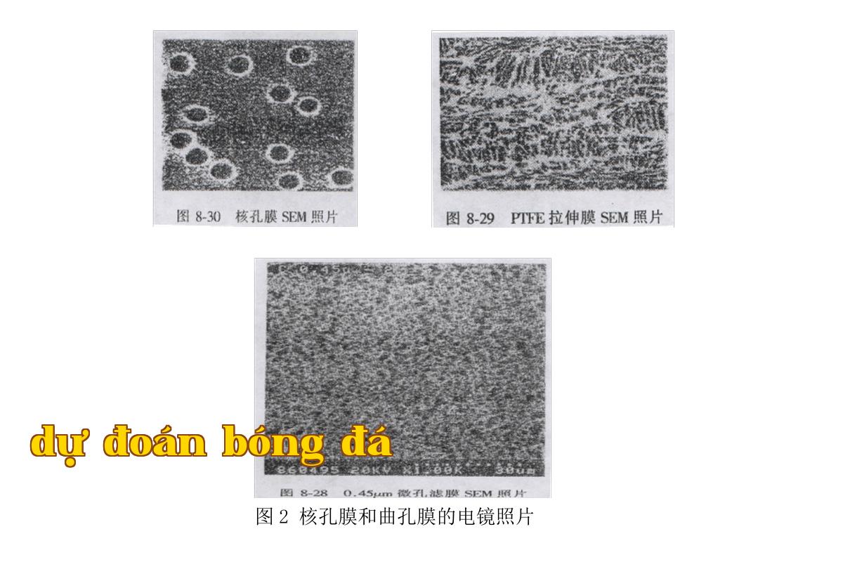 Ảnh_wechat_20250430173512.jpg