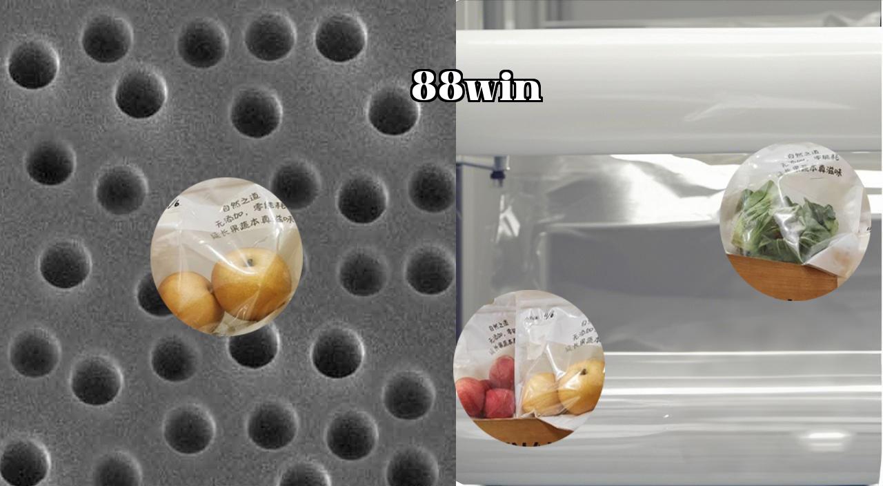 Nuclear_track_membrane_2.jpg