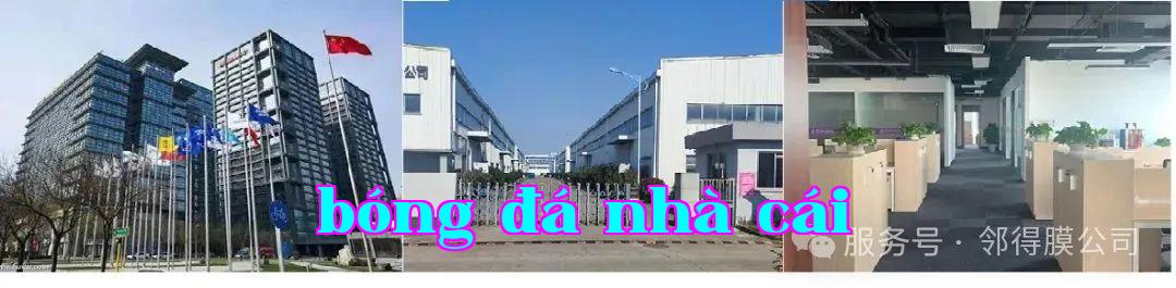 Vương Ngọc Lan - Màng lỗ hạt nhân