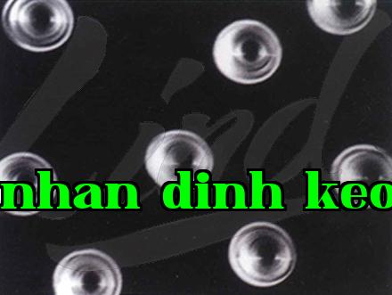 Lân Đắc Mạc Y Tế