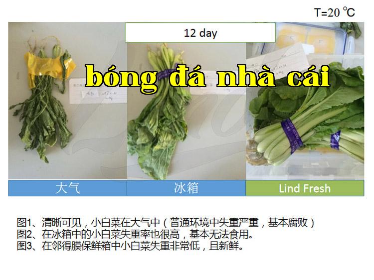 Chi tiết công nghệ đóng gói bảo quản rau quả tươi tự động của màng Lindem thay bằng_02.jpg